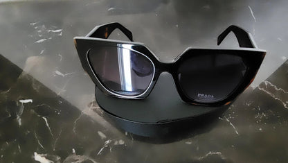 Sunglasses Model PL01