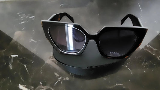 Sunglasses Model PL01